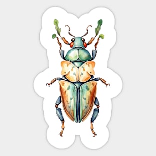 Beautiful beetle Sticker